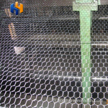 Poultry Netting Chicken le plus bas prix Mesh Philippines